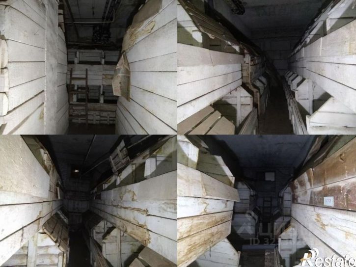 Помещение свободного назначения улица Шумавцова, 13,  д. 13