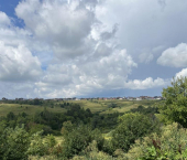 земля 8.9 сот СНТ Утёс