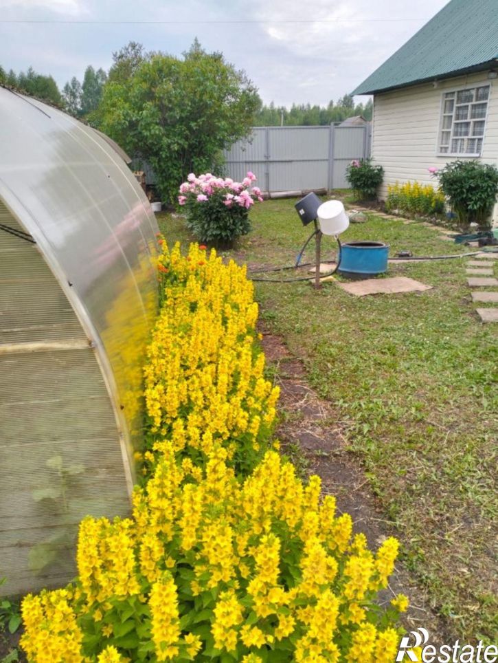 Коттедж/дом СНТ Ромашка