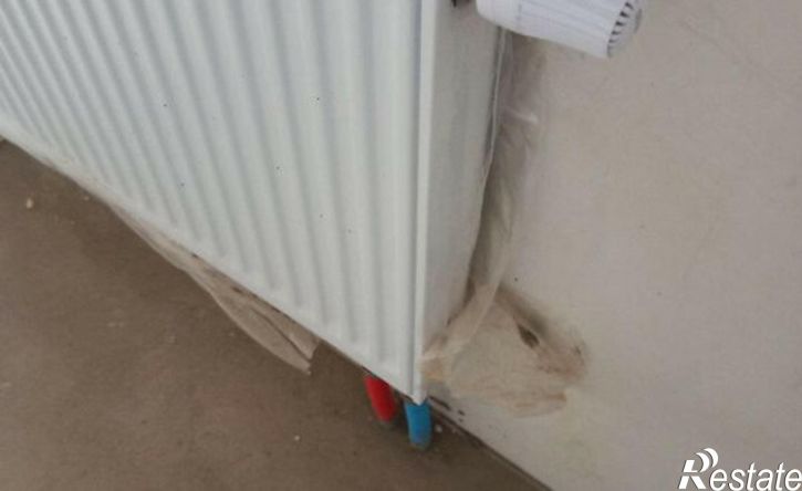 1-комн квартира ул Академика Курчатова, 81,  д. 81