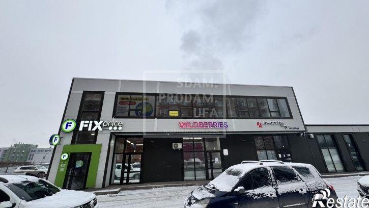 Торговое помещение Сабира Лукманова улица, д.5