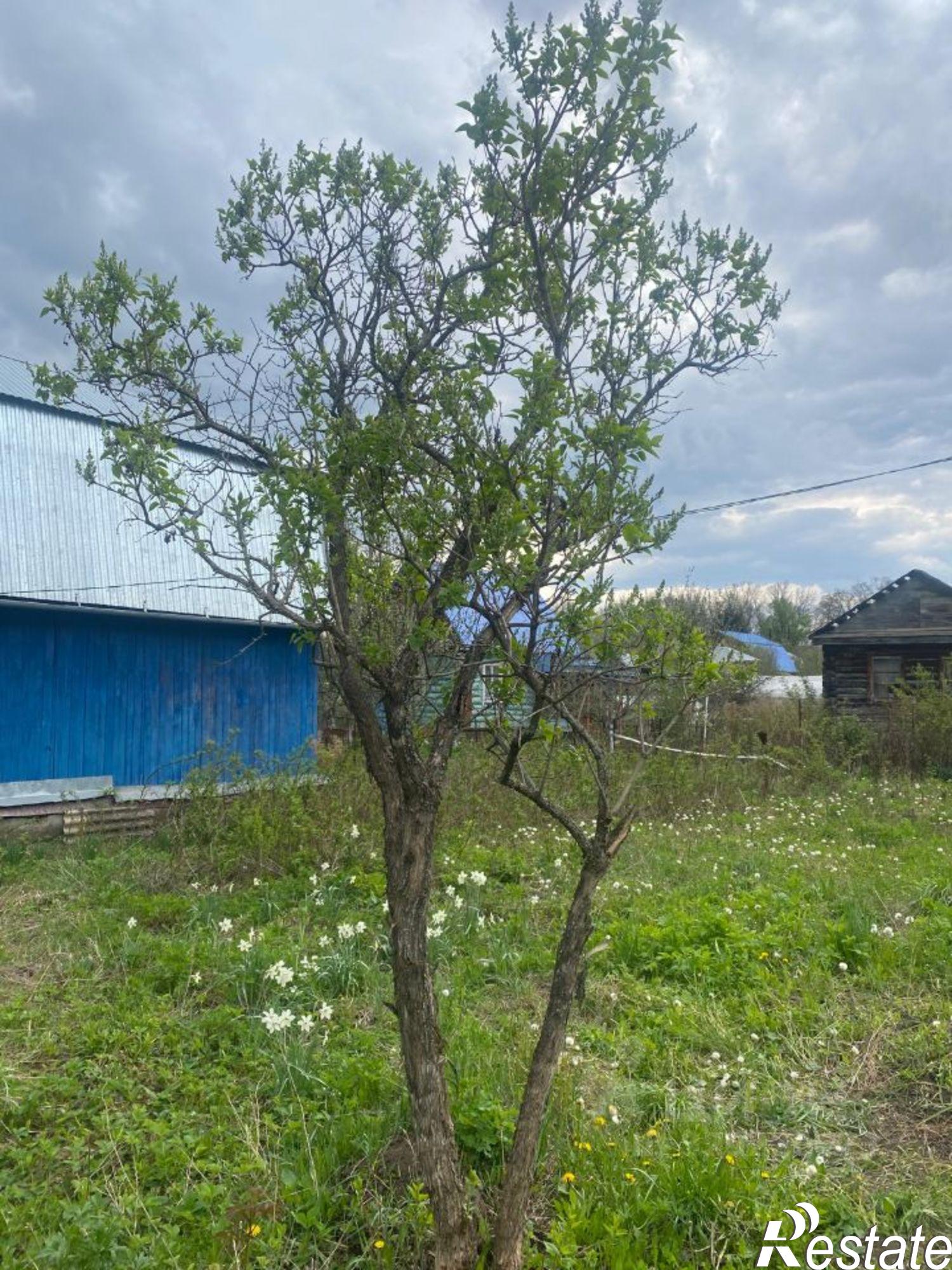 Купить дачу, дом, коттедж за 900 000 рублей на СНО Заря