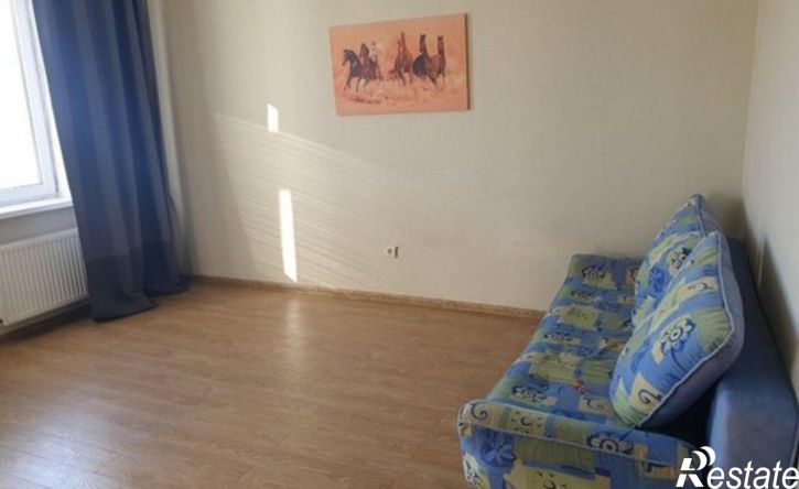1-комн квартира улица Бориса Домашникова, 22,  д. 22
