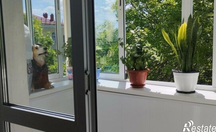 2-комн квартира Архитектурная улица, 4,  д. 4