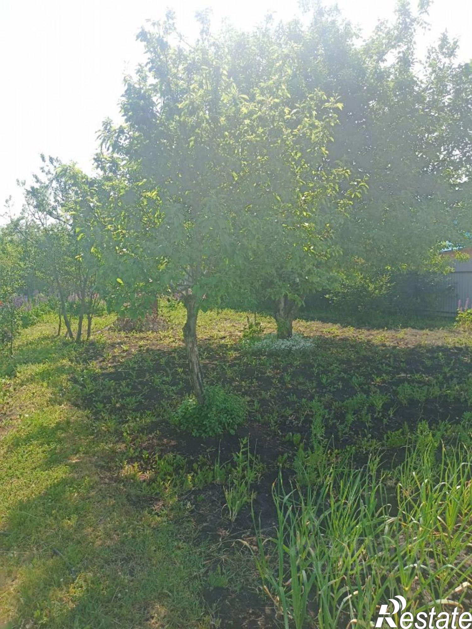 Купить дачу, дом, коттедж за 1 590 000 рублей на СО Родник