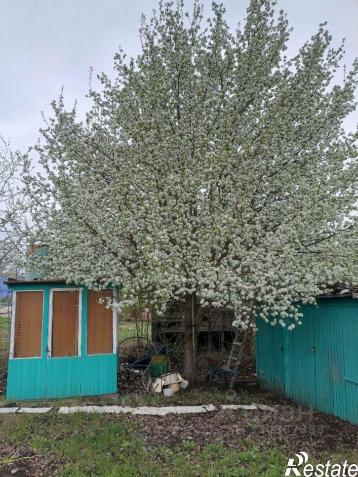 Коттедж/дом СО Родник