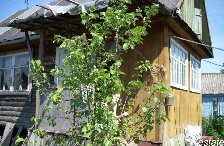 Коттедж/дом СНТ Ягодка, 44