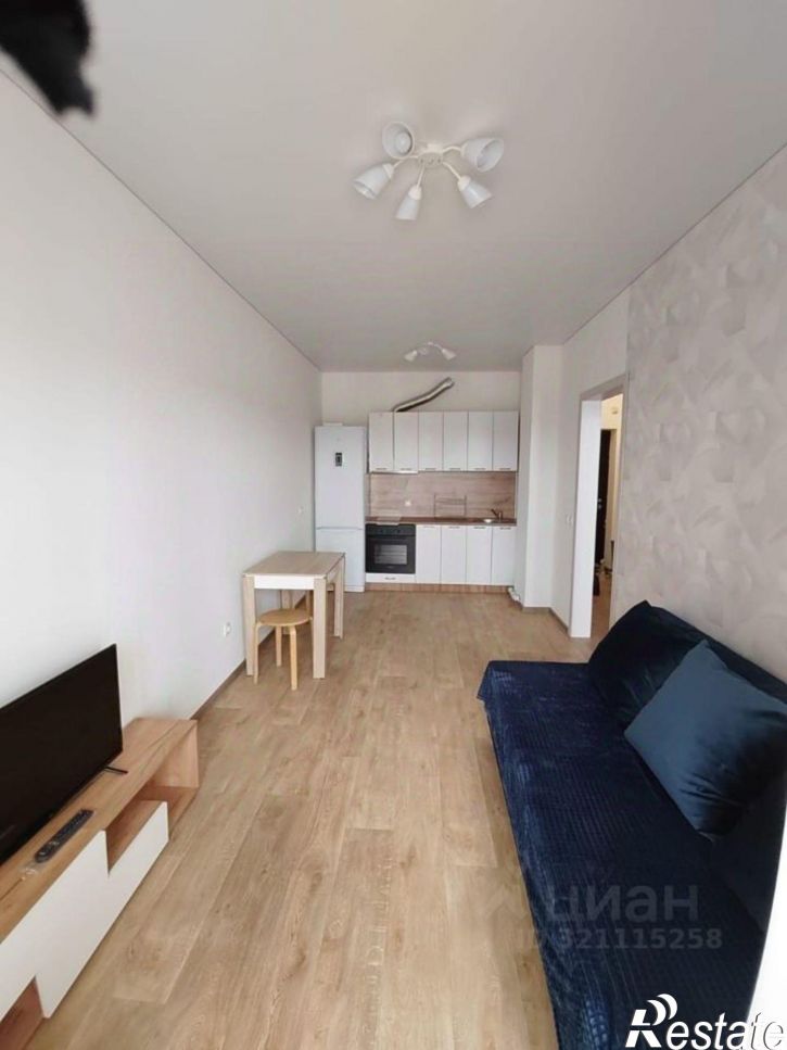 1-комн квартира ул Майора Доставалова, 11,  д. 11