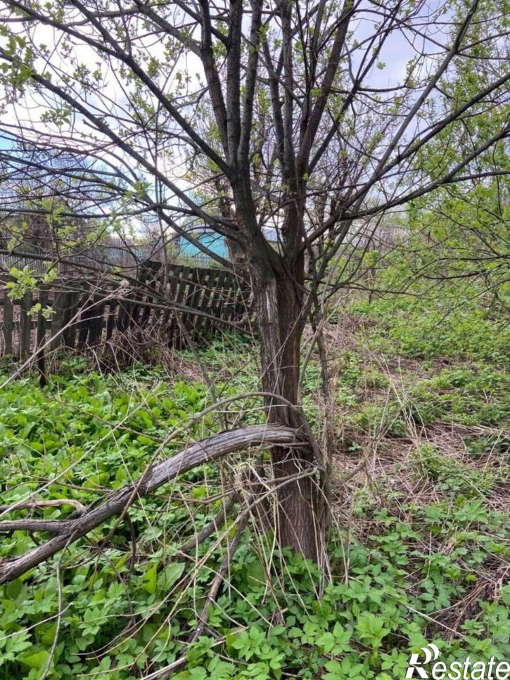 Коттедж/дом Бирский тракт
