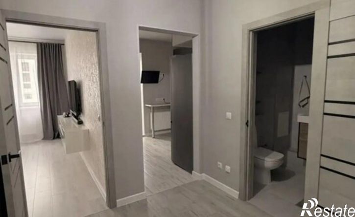 1-комн квартира Природная улица, 10,  д. 10