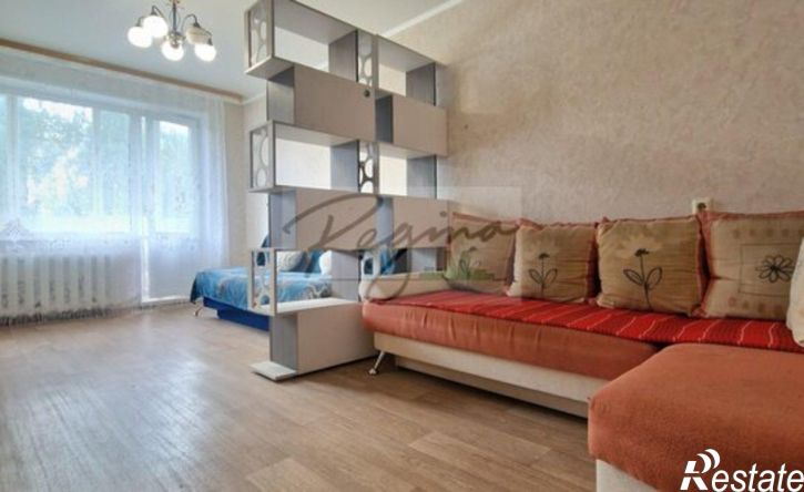 1-комн квартира улица Николая Дмитриева, 11,  д. 11