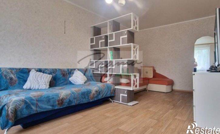 1-комн квартира улица Николая Дмитриева, 11,  д. 11