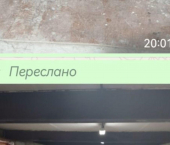 16 кв м ул Мингажева, 162