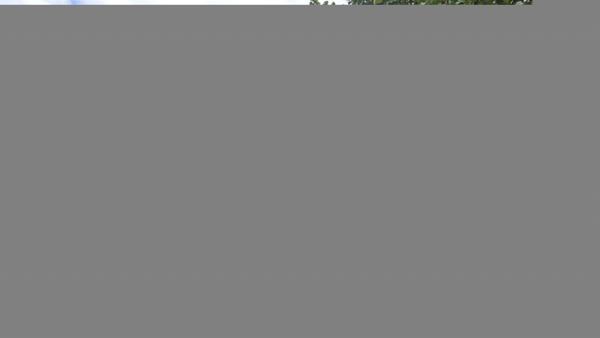 Купить землю, земельный участок за 2 000 000 рублей на ул Кемеровская, 95