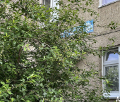 1-комн, 35кв м, этаж 1/9 ул Юрия Гагарина, 13/3