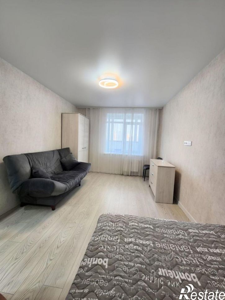 1-комн квартира ул Чапаева, 10,  д. 10