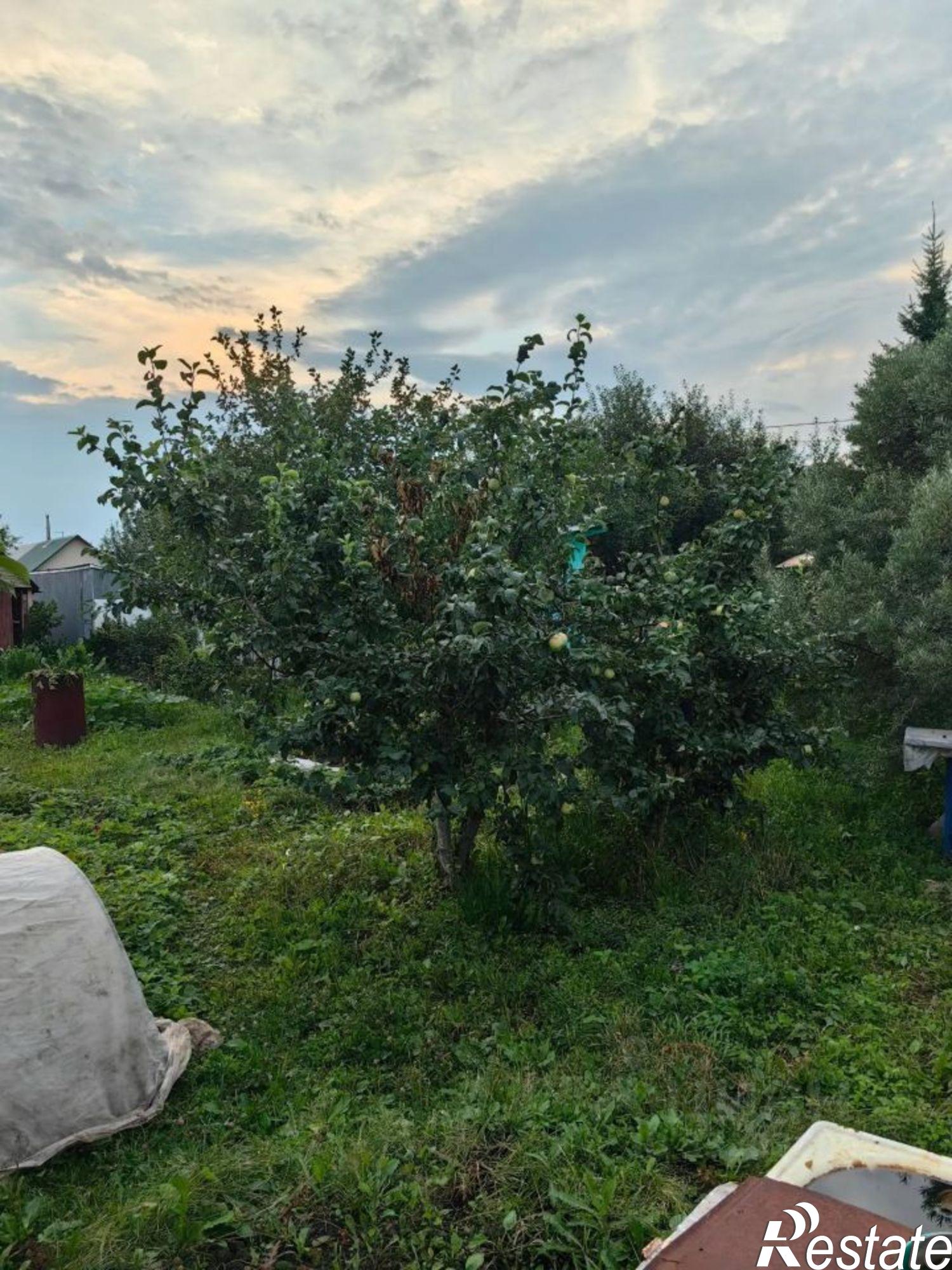 Купить дачу, дом, коттедж за 1 500 000 рублей на СНТ Берёзка-3