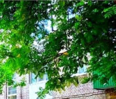 комната 140 кв м пр-кт Октября, 111/2