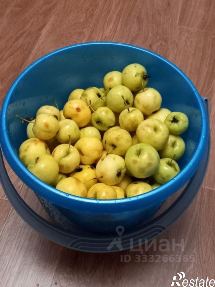 Земельный участок СТ Вишенка