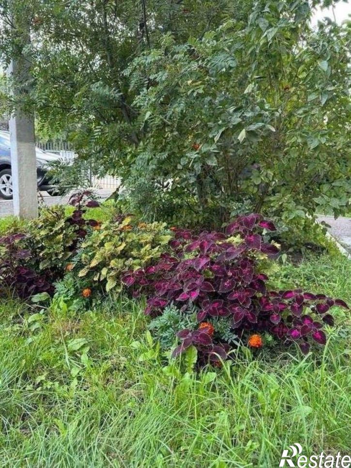 2-комн квартира ул Рихарда Зорге, 67,  д. 67
