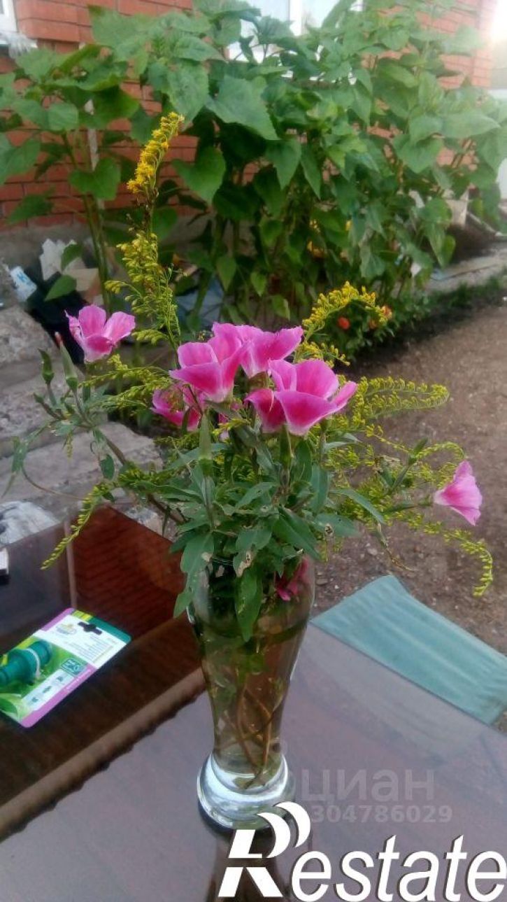 Коттедж/дом Комаринская улица, 34,  д. 34