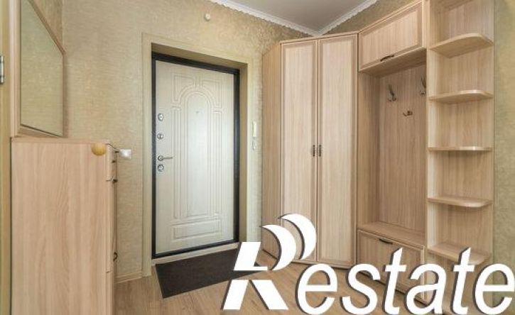 1-комн квартира улица Бориса Домашникова, 22,  д. 22