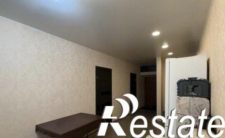 1-комн квартира улица Рихарда Зорге, 65Б,  д. 65Б