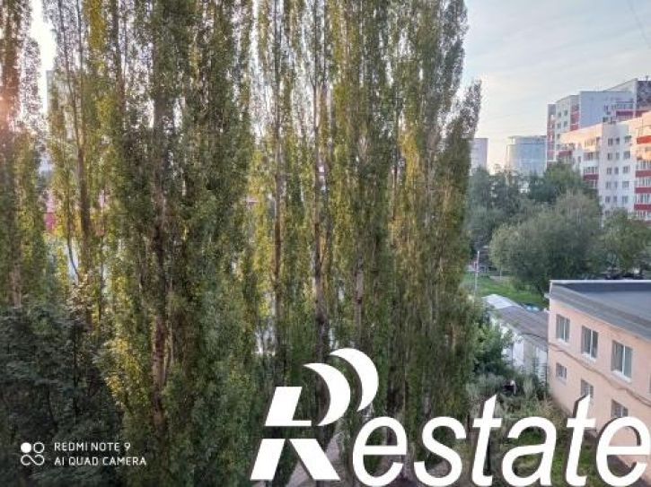 3-комн квартира Пушкина, 54/1